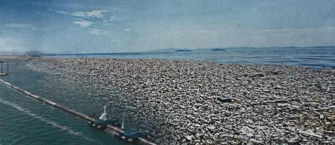 欧陆平台注册:这个大乌龙,美国应该向中国道歉